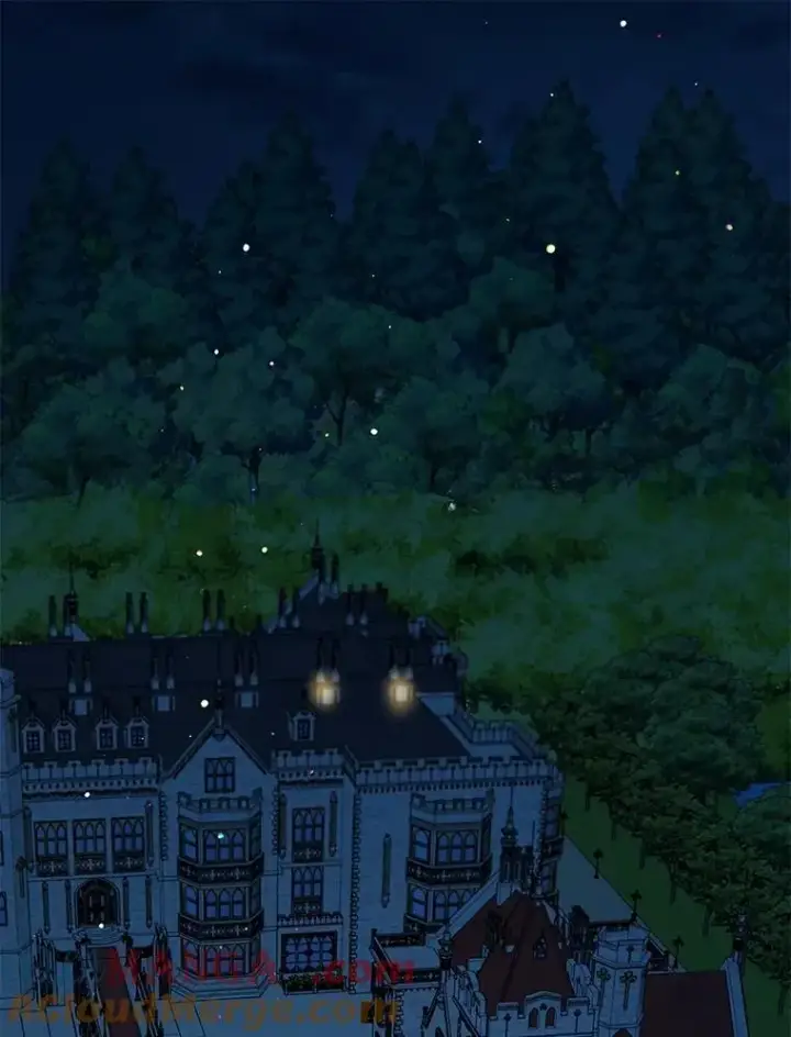 《重生为神兽宝宝》54.得到银狐图45