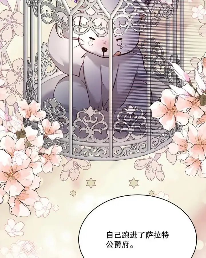 《重生为神兽宝宝》54.得到银狐图62