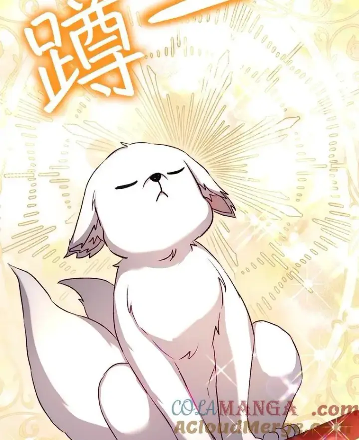 《重生为神兽宝宝》56.假银狐图17