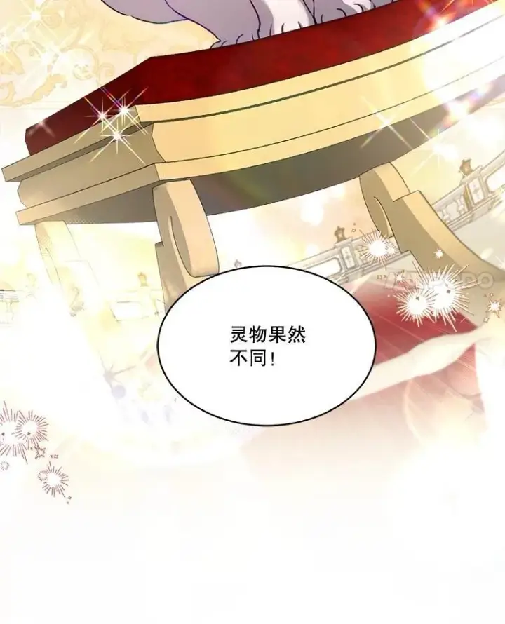 《重生为神兽宝宝》56.假银狐图18
