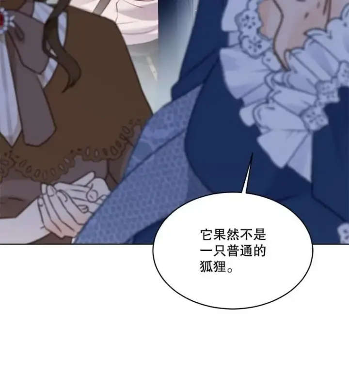 《重生为神兽宝宝》56.假银狐图20