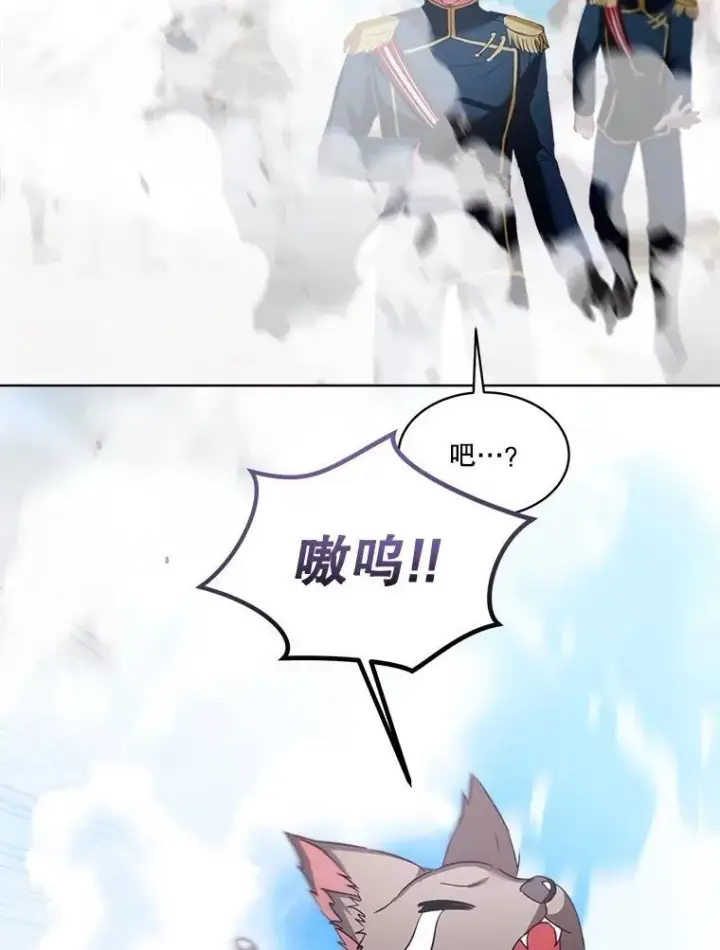 《重生为神兽宝宝》56.假银狐图54