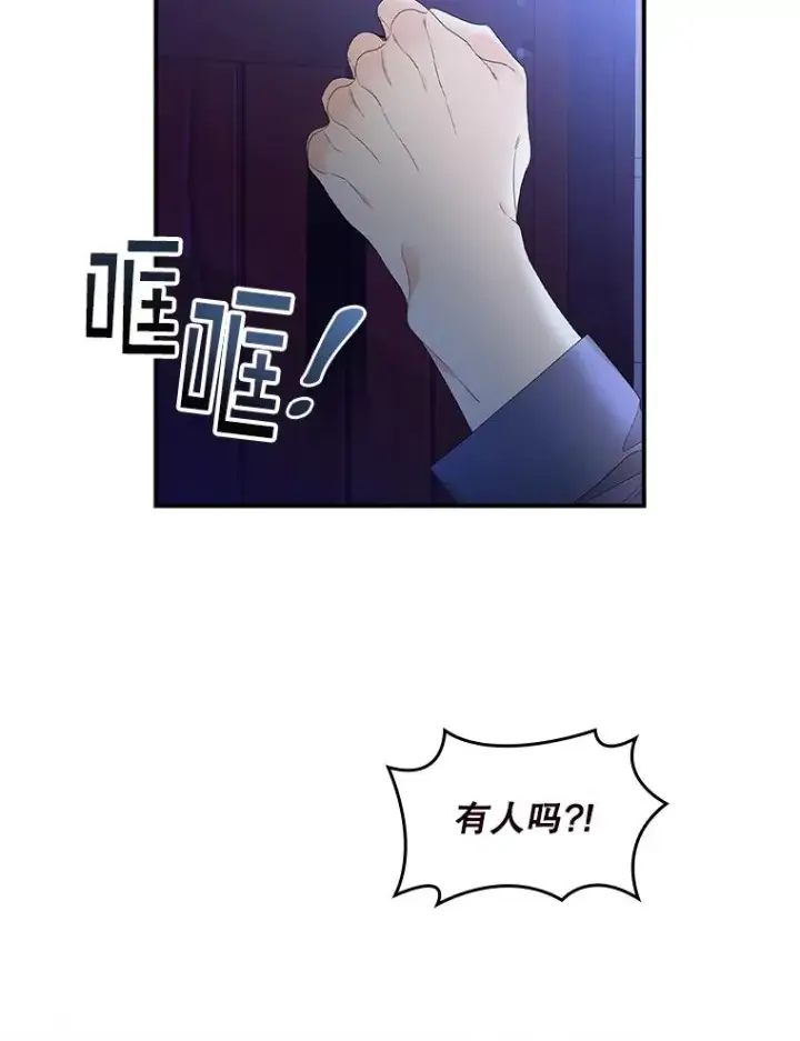 《专门对付恶棍》1.天降美男图2