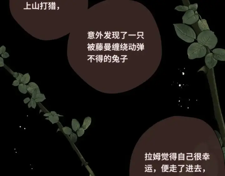 《转生魔女养成了圣殿骑士》第十二话 魔法图28