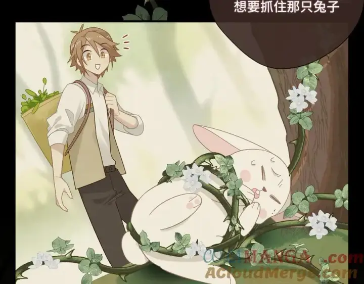 《转生魔女养成了圣殿骑士》第十二话 魔法图29