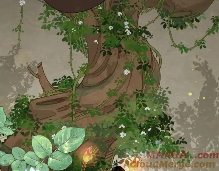《转生魔女养成了圣殿骑士》第十二话 魔法图37