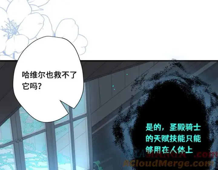 《转生魔女养成了圣殿骑士》第十二话 魔法图73