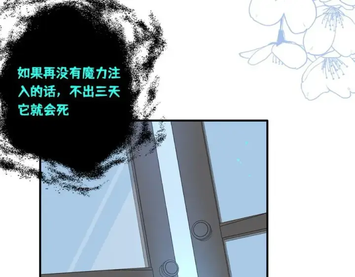 《转生魔女养成了圣殿骑士》第十二话 魔法图75