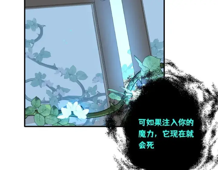 《转生魔女养成了圣殿骑士》第十二话 魔法图76