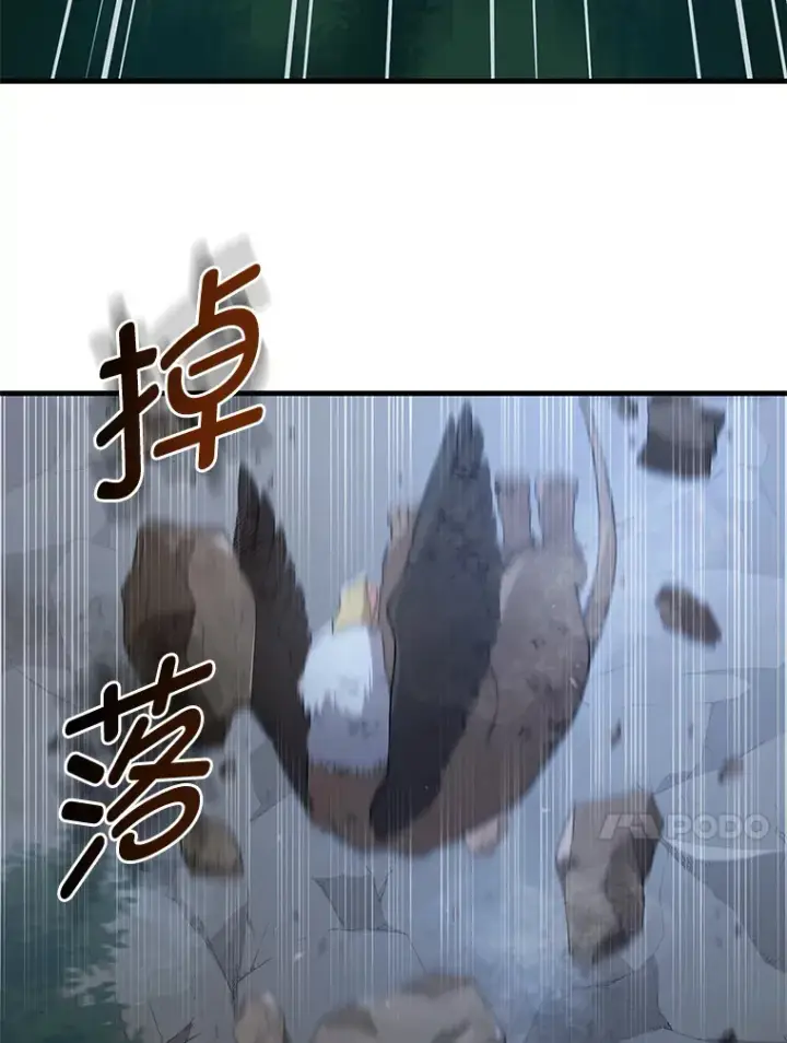 《转生专家躺赢的方法》19.狮鹫宝宝图100