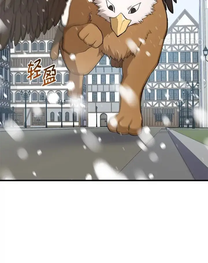 《转生专家躺赢的方法》69.帕西利亚新城图11