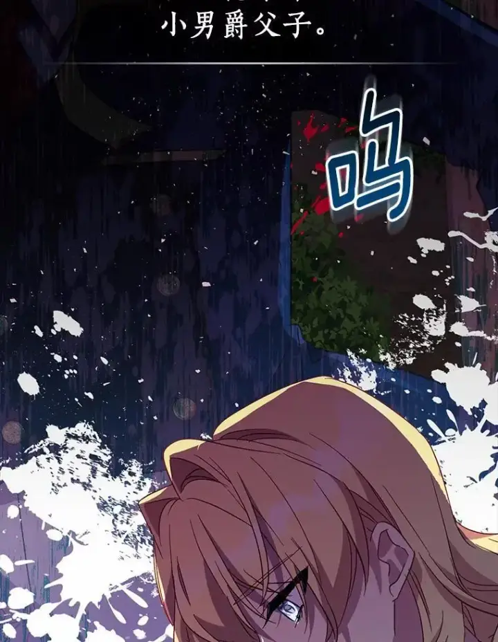 《作为假圣女，却被众人迷恋？》45.魔法夜市图15