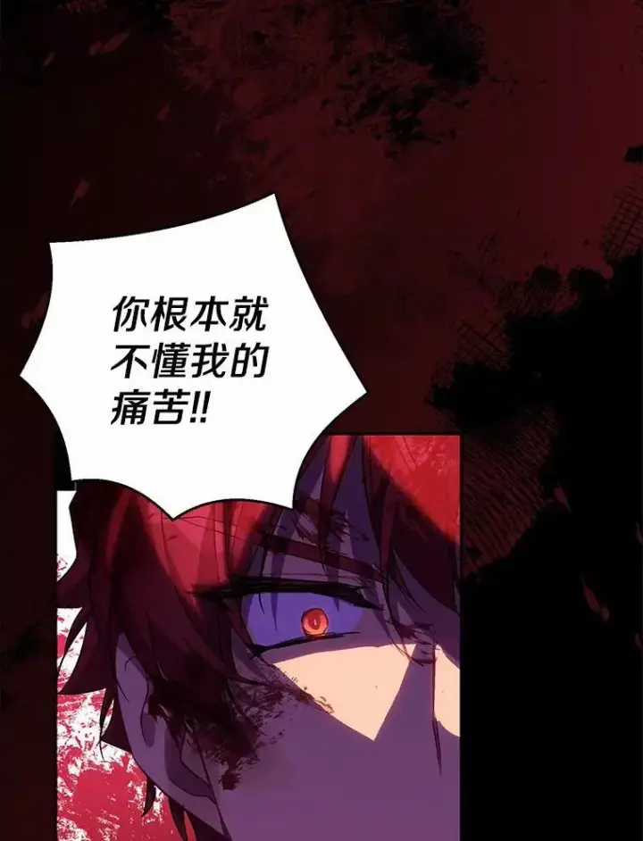 《作为假圣女，却被众人迷恋？》49.皇妃的诅咒图114