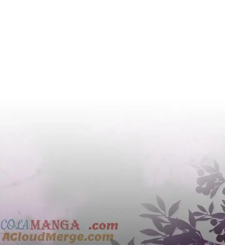 《作为假圣女，却被众人迷恋？》58.结界图29