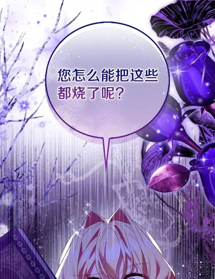 《作为假圣女，却被众人迷恋？》91.轻启面纱图146