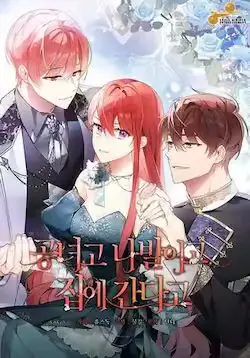 《管他什么公女 我要回家》封面