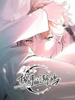 《揽月,潮鸣》封面