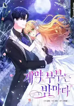 《契约夫妻的每一夜》封面
