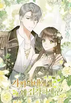 《为何执着于假妻子?》封面