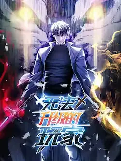 《无法升级的玩家》封面